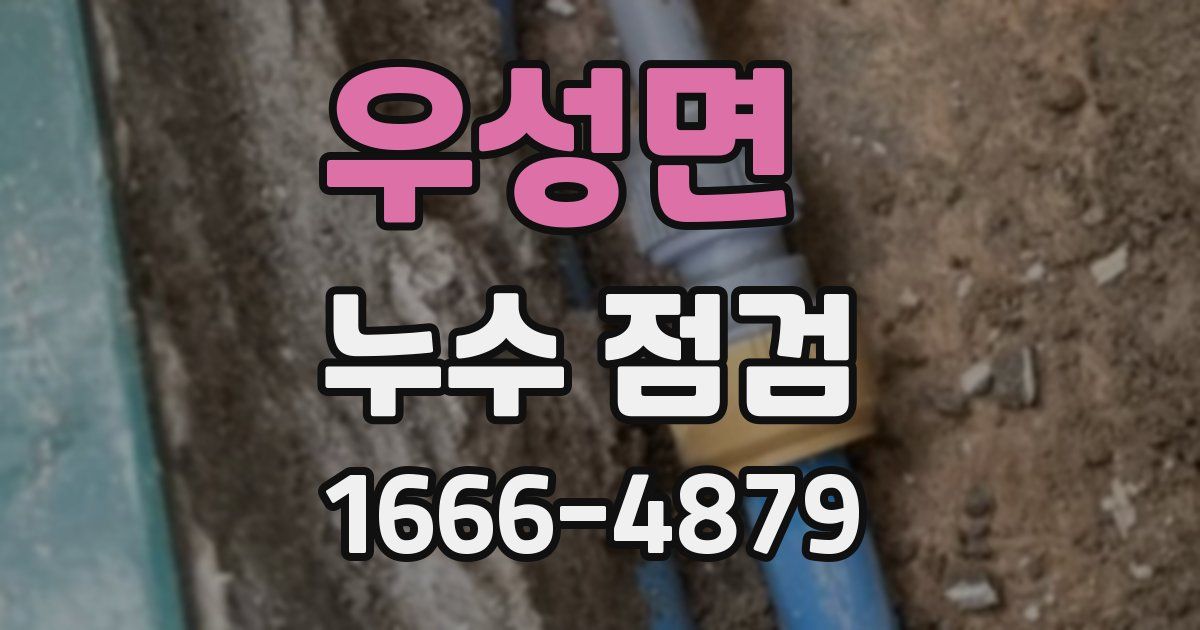 우성면 누수 점검