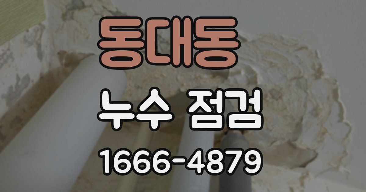 동대동 누수 점검