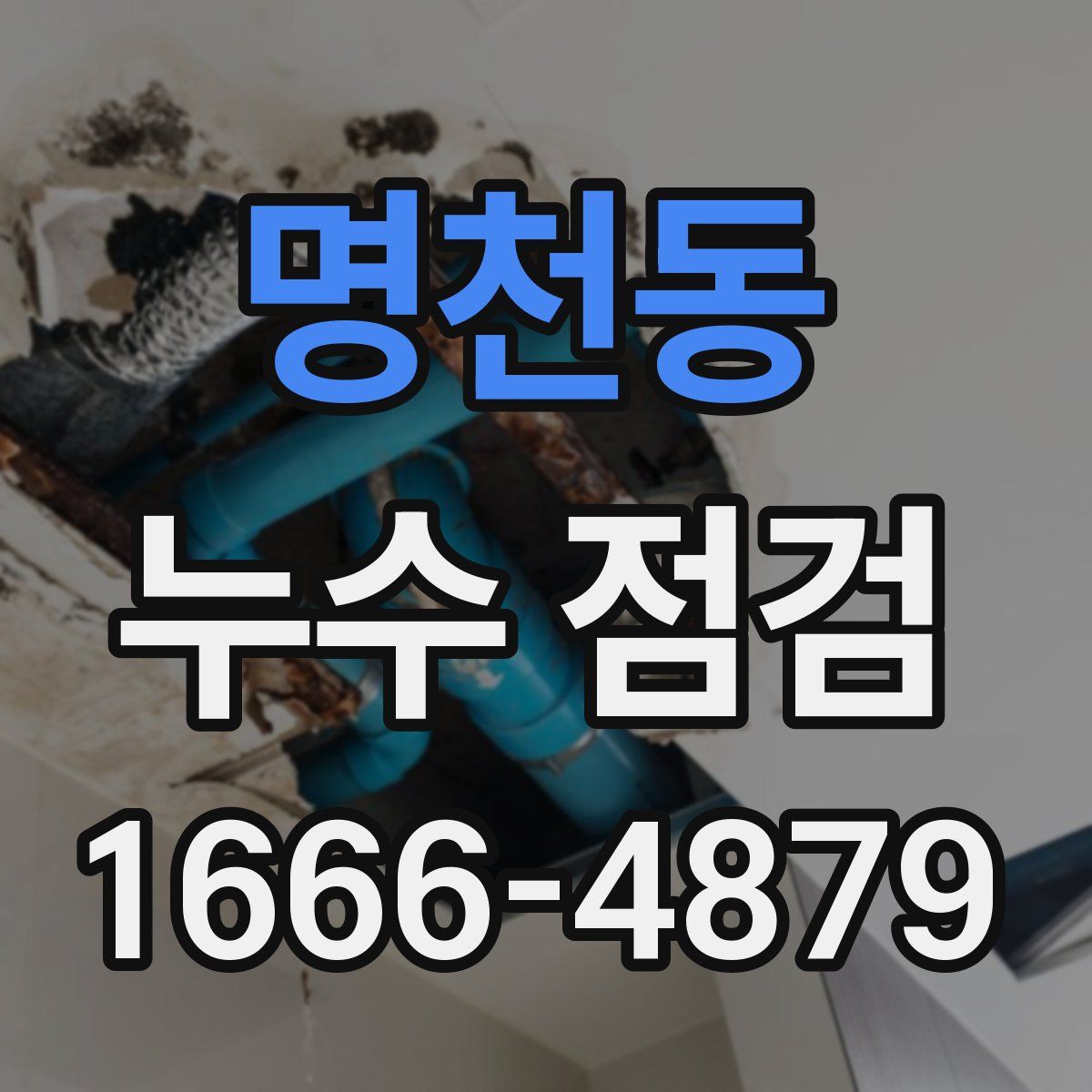명천동 누수 점검