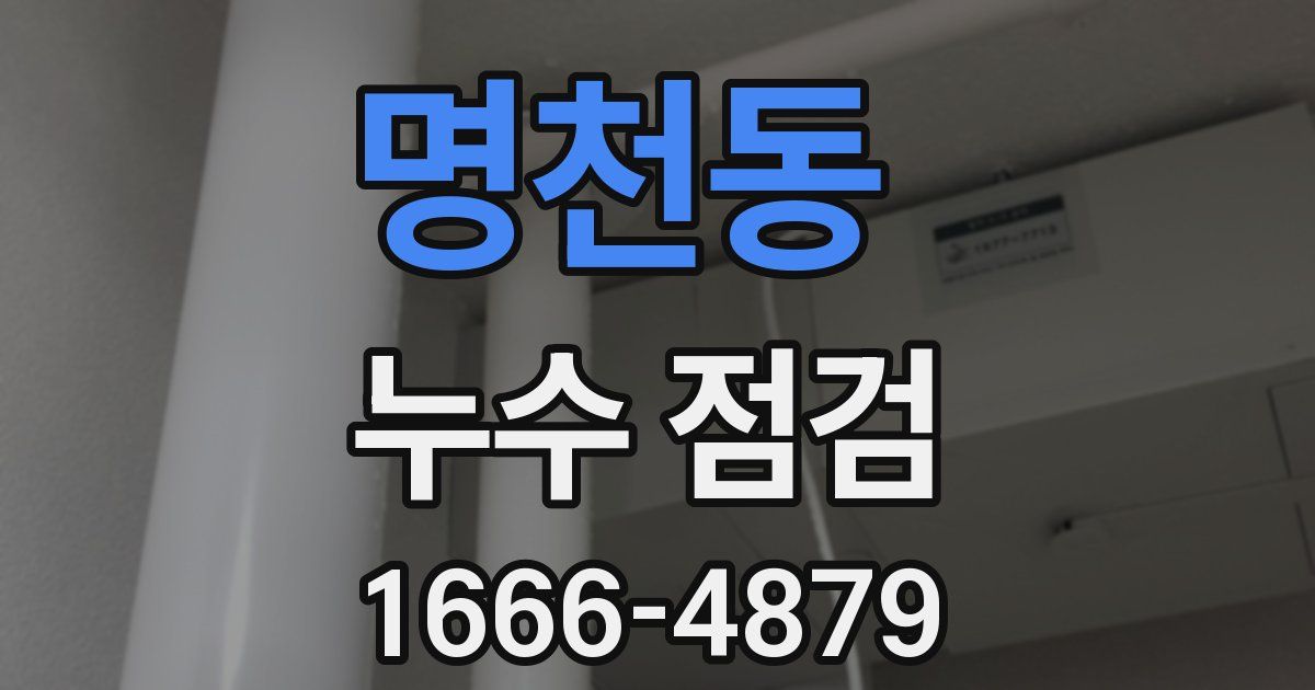 명천동 누수 점검