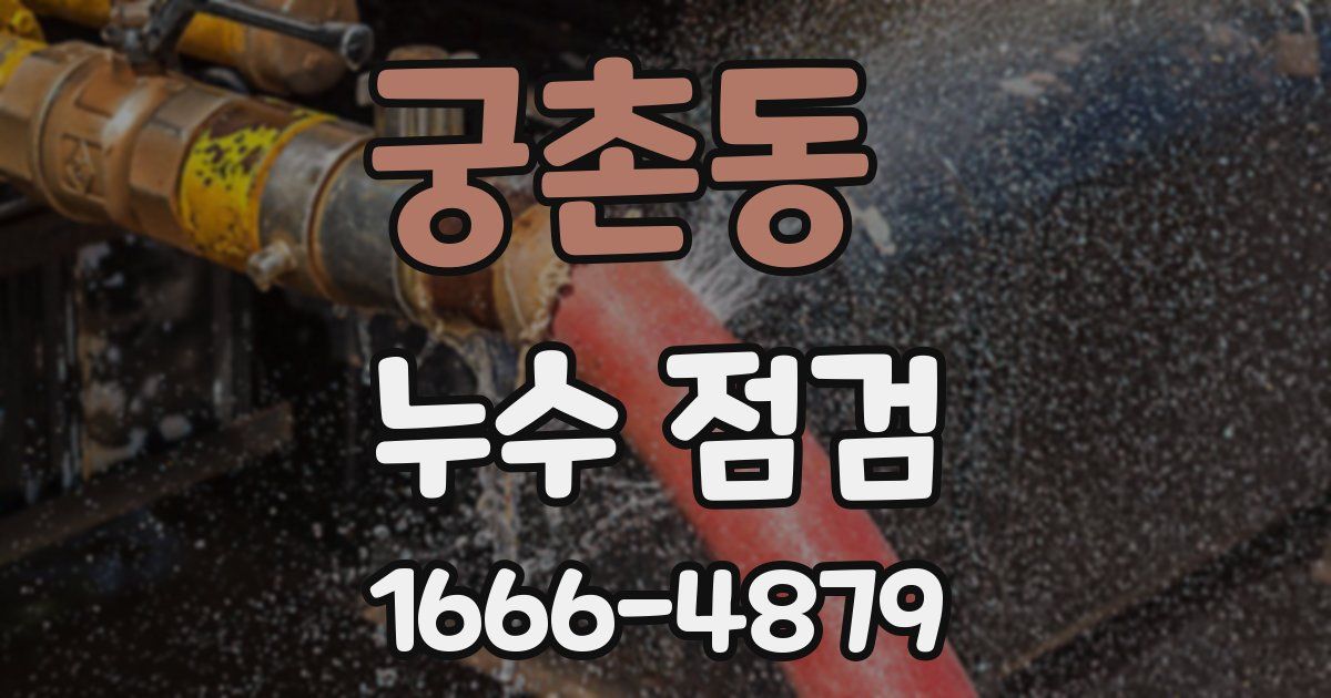 궁촌동 누수 점검