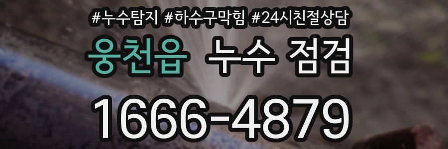 웅천읍 누수 점검
