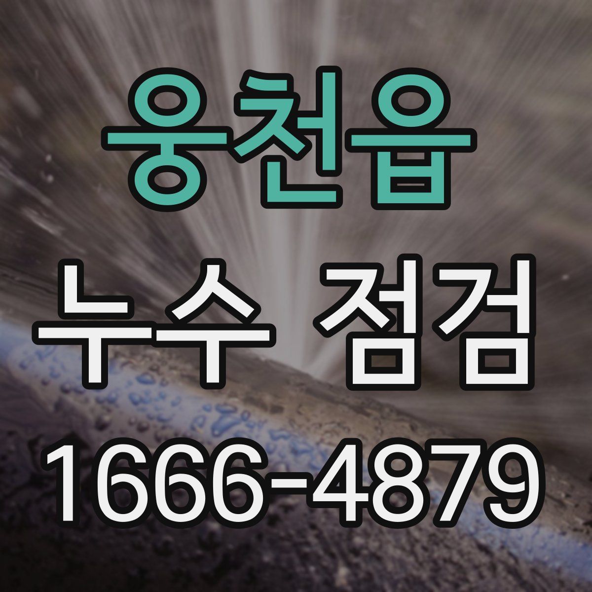 웅천읍 누수 점검