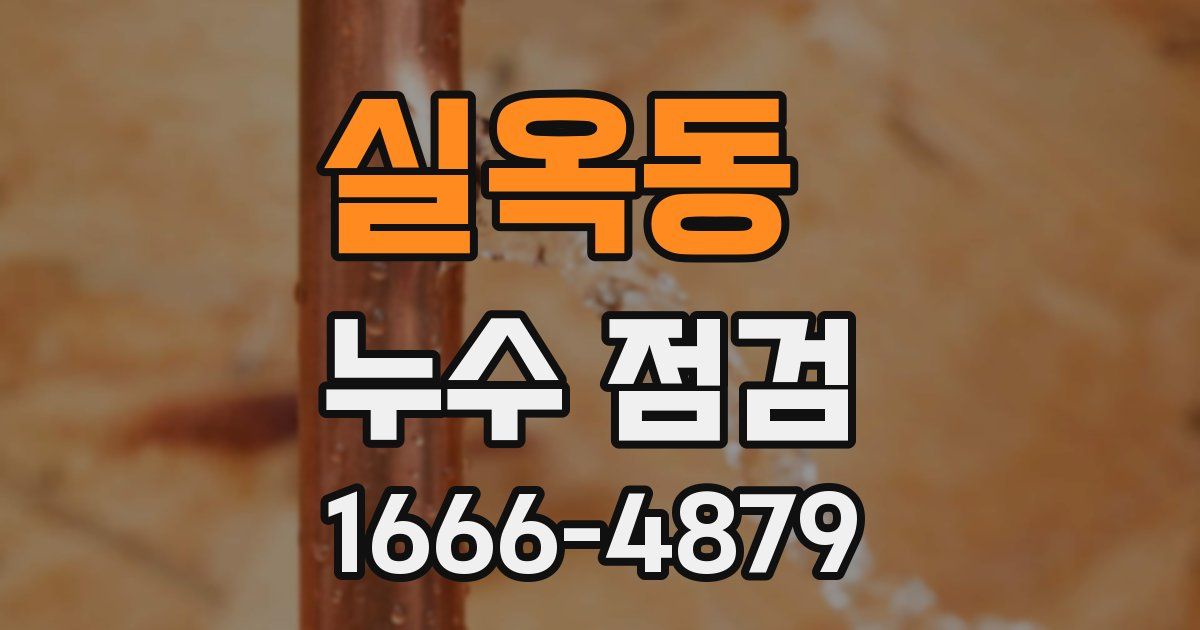 실옥동 누수 점검