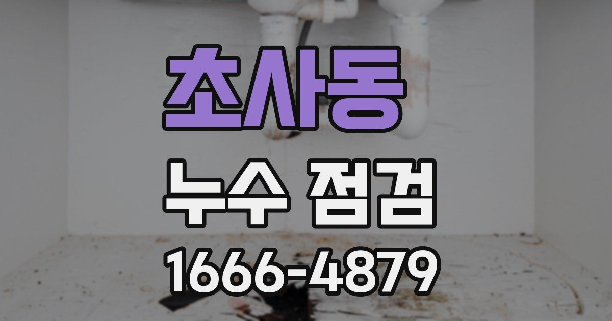 초사동 누수 점검