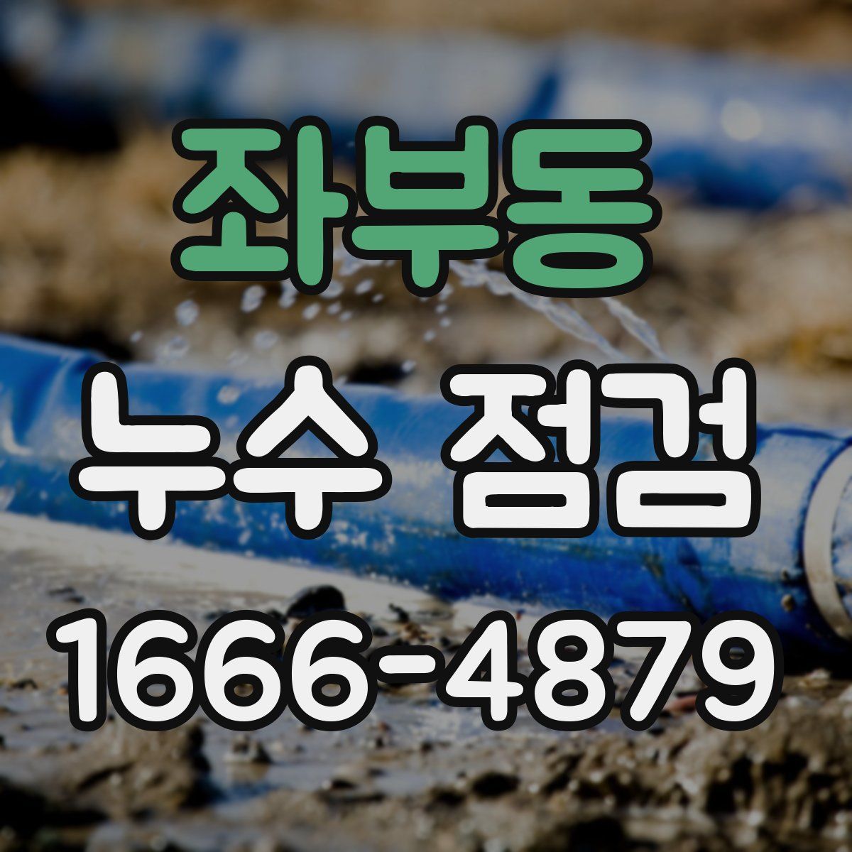 좌부동 누수 점검
