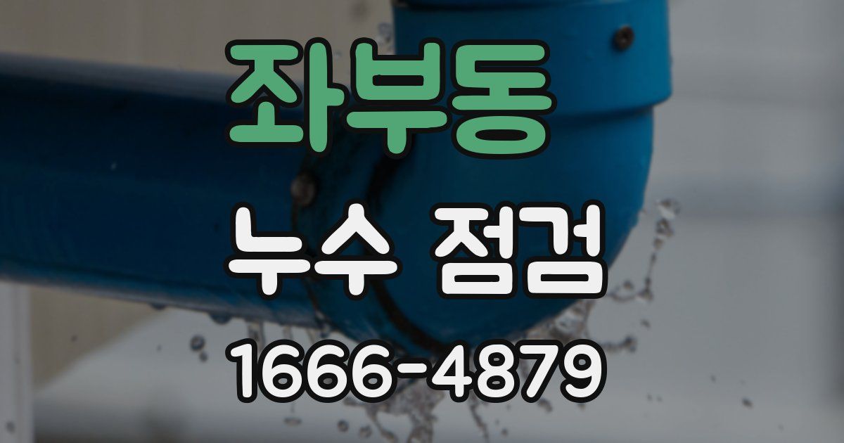 좌부동 누수 점검