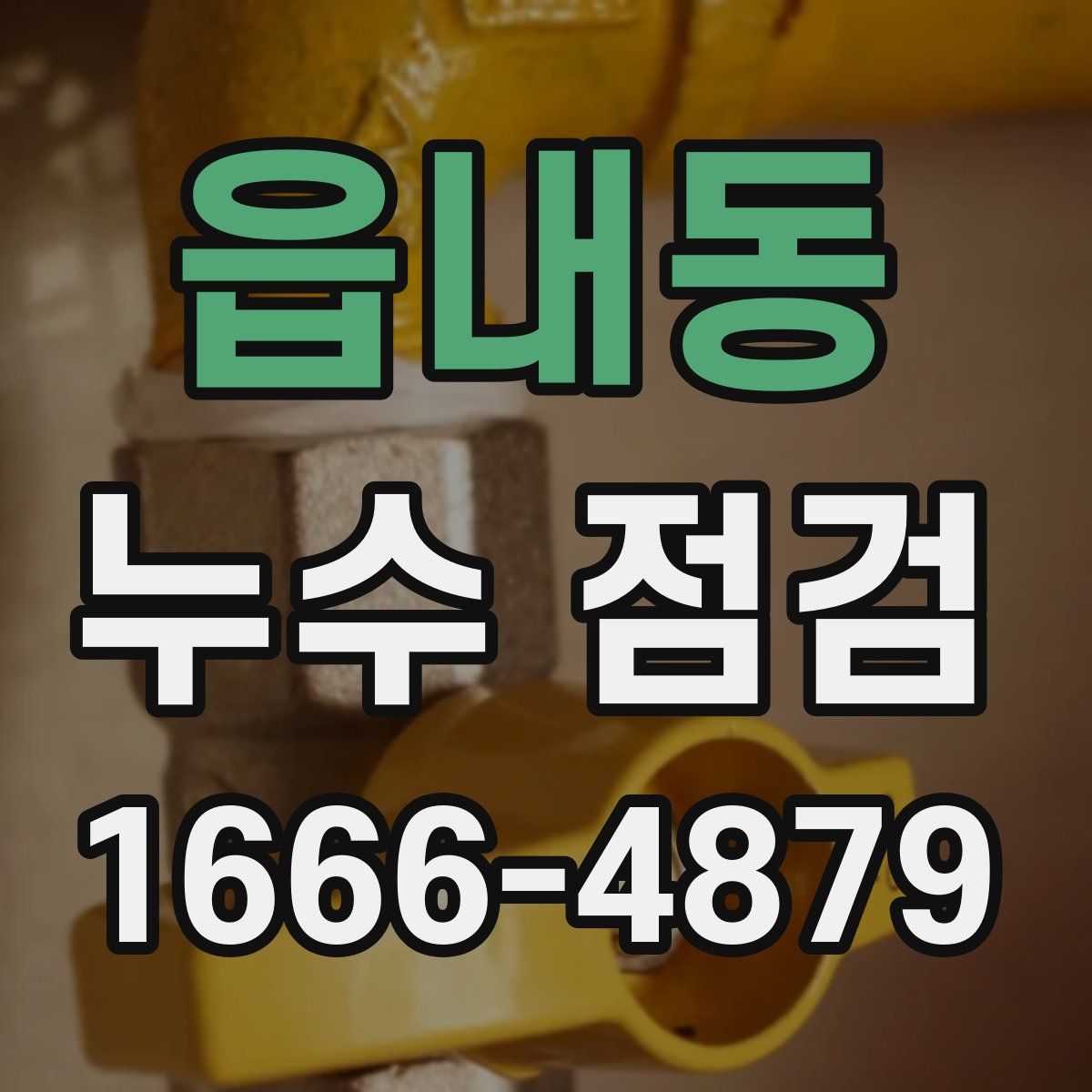 읍내동 누수 점검