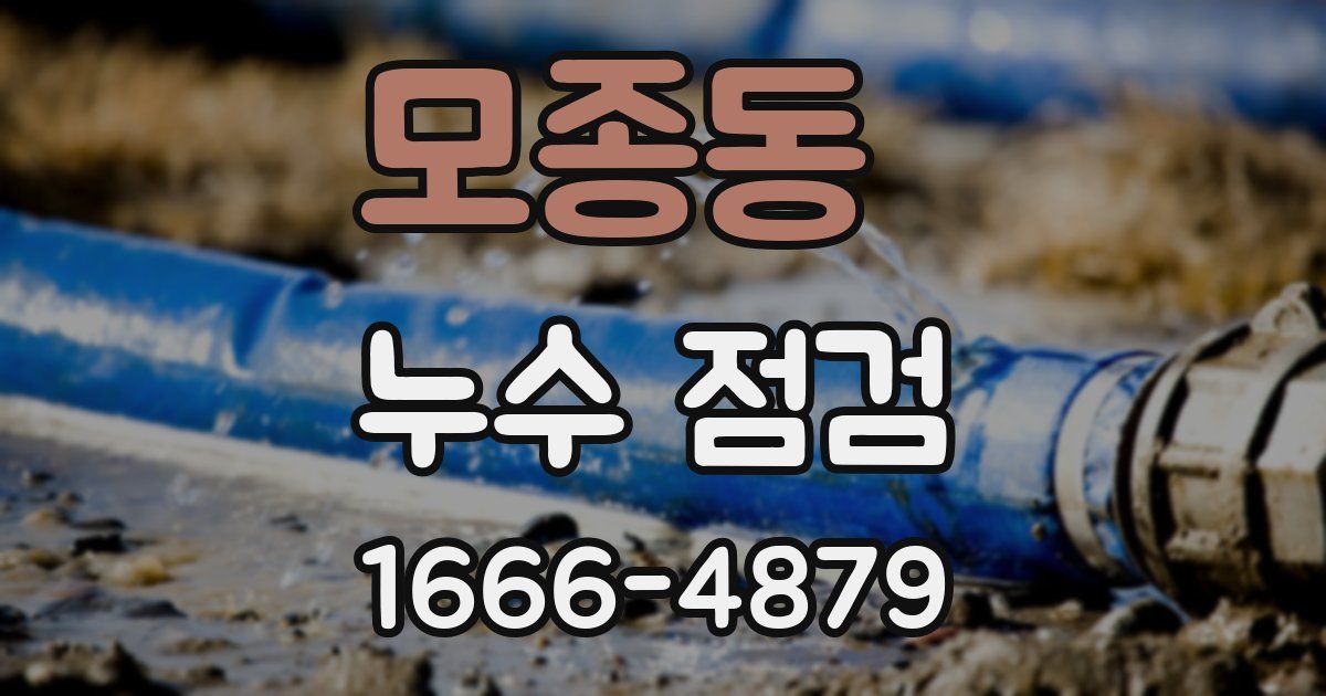 모종동 누수 점검