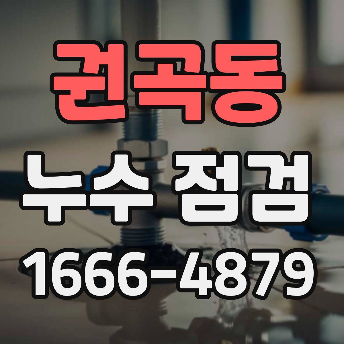 권곡동 누수 점검