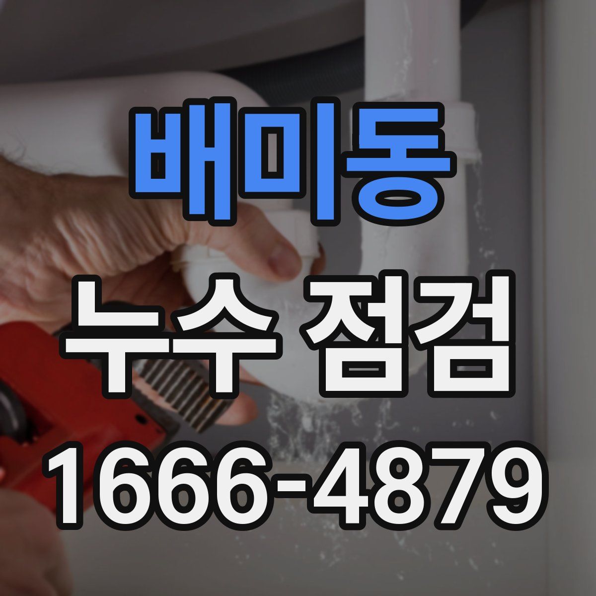 배미동 누수 점검