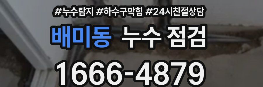 배미동 누수 점검