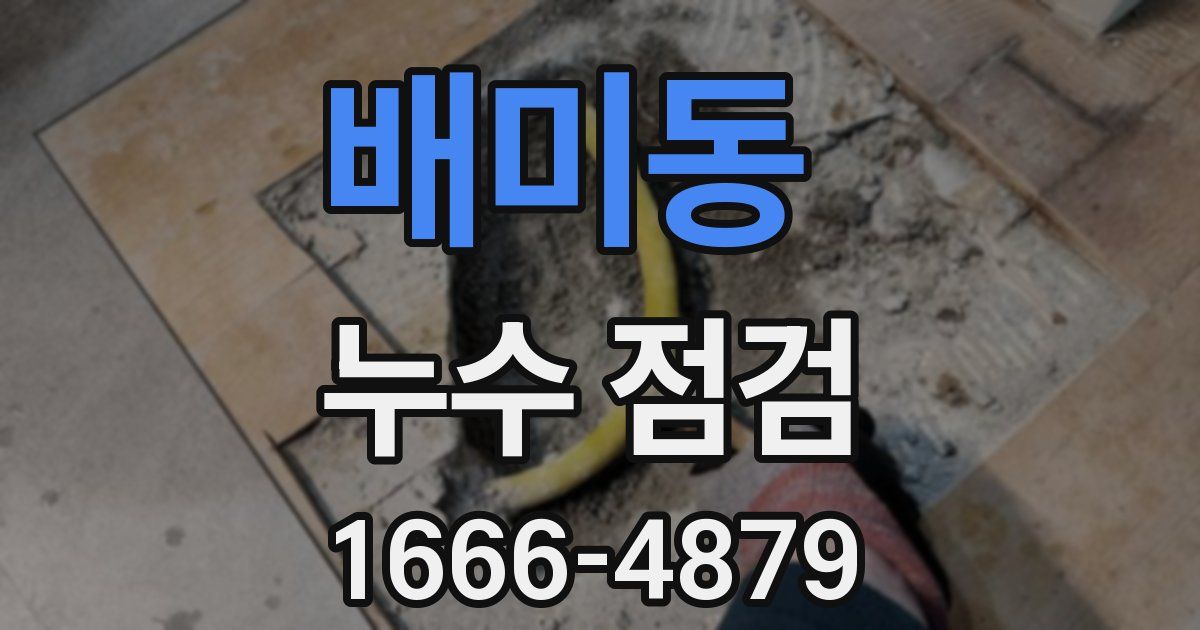 배미동 누수 점검