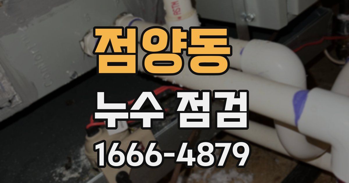 점양동 누수 점검