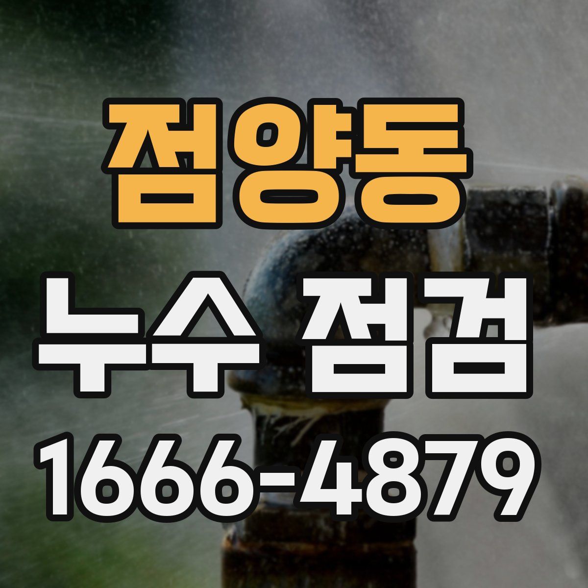 점양동 누수 점검
