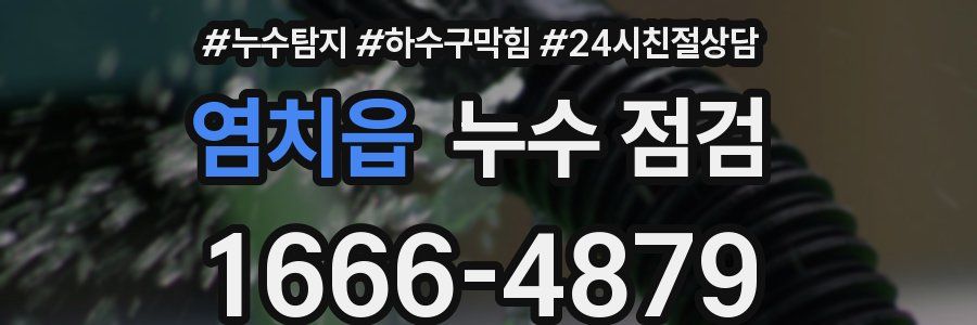염치읍 누수 점검