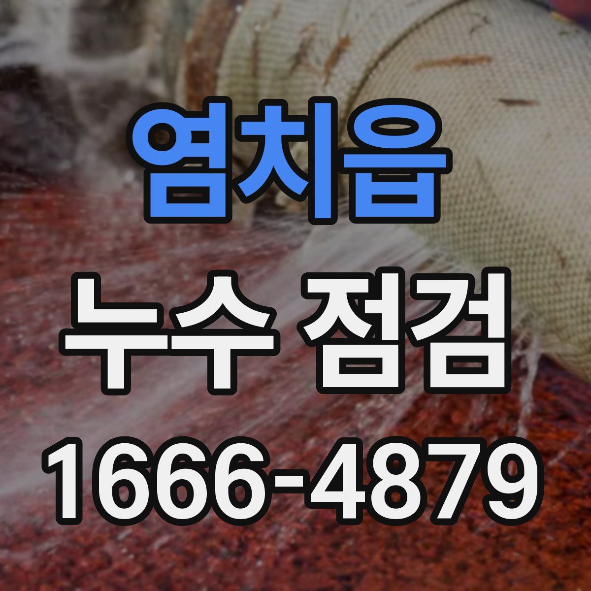 염치읍 누수 점검