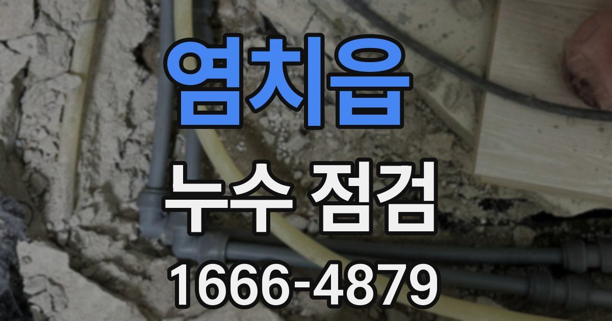 염치읍 누수 점검
