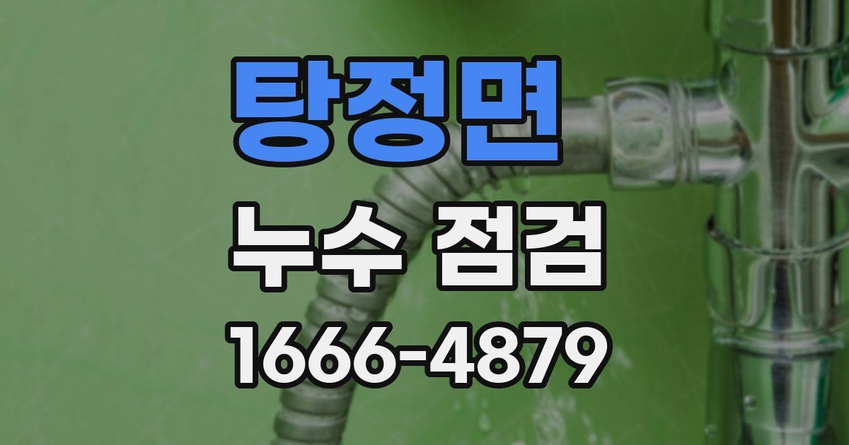 탕정면 누수 점검
