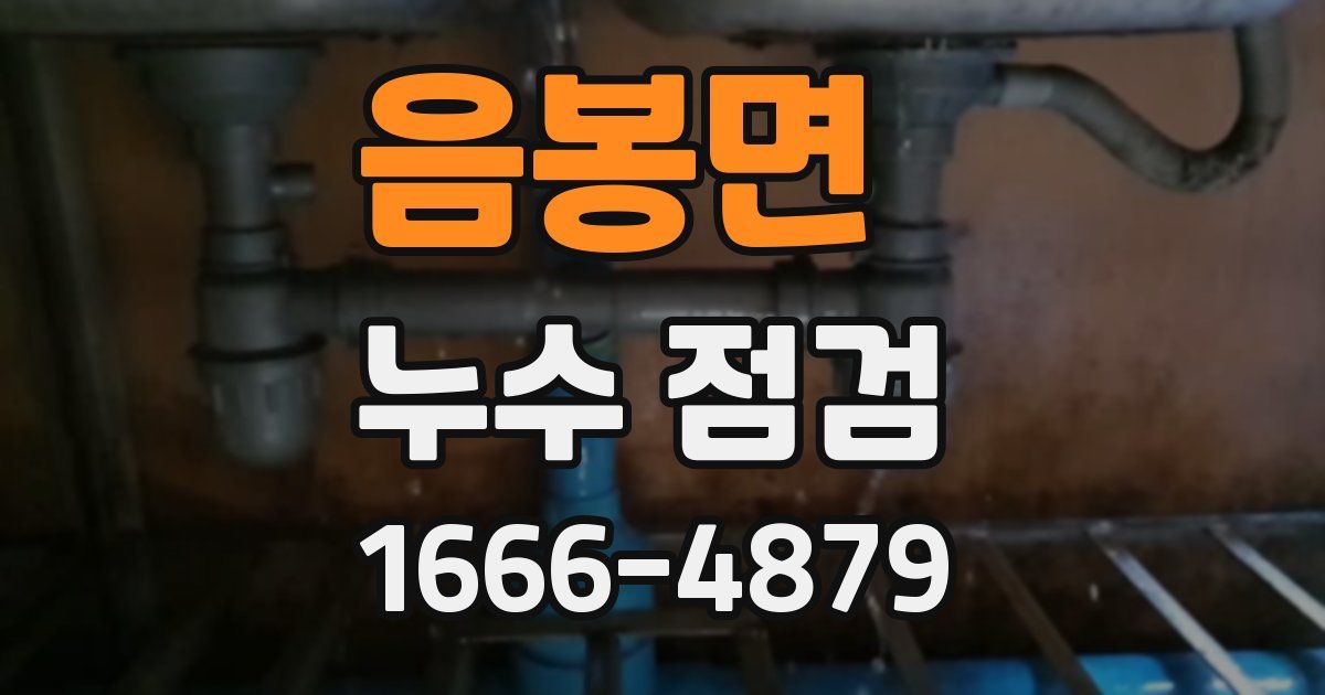 음봉면 누수 점검