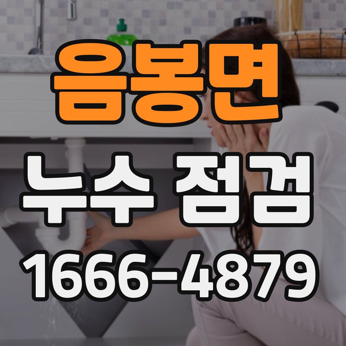 음봉면 누수 점검