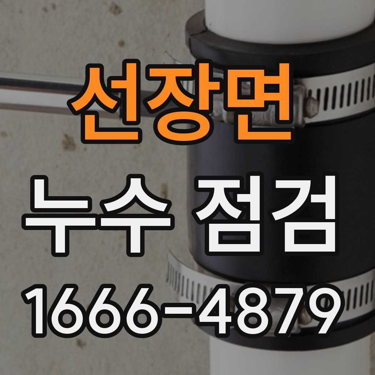 선장면 누수 점검