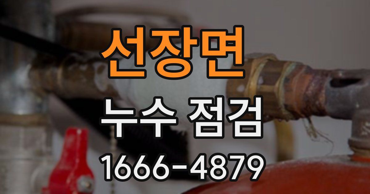 선장면 누수 점검