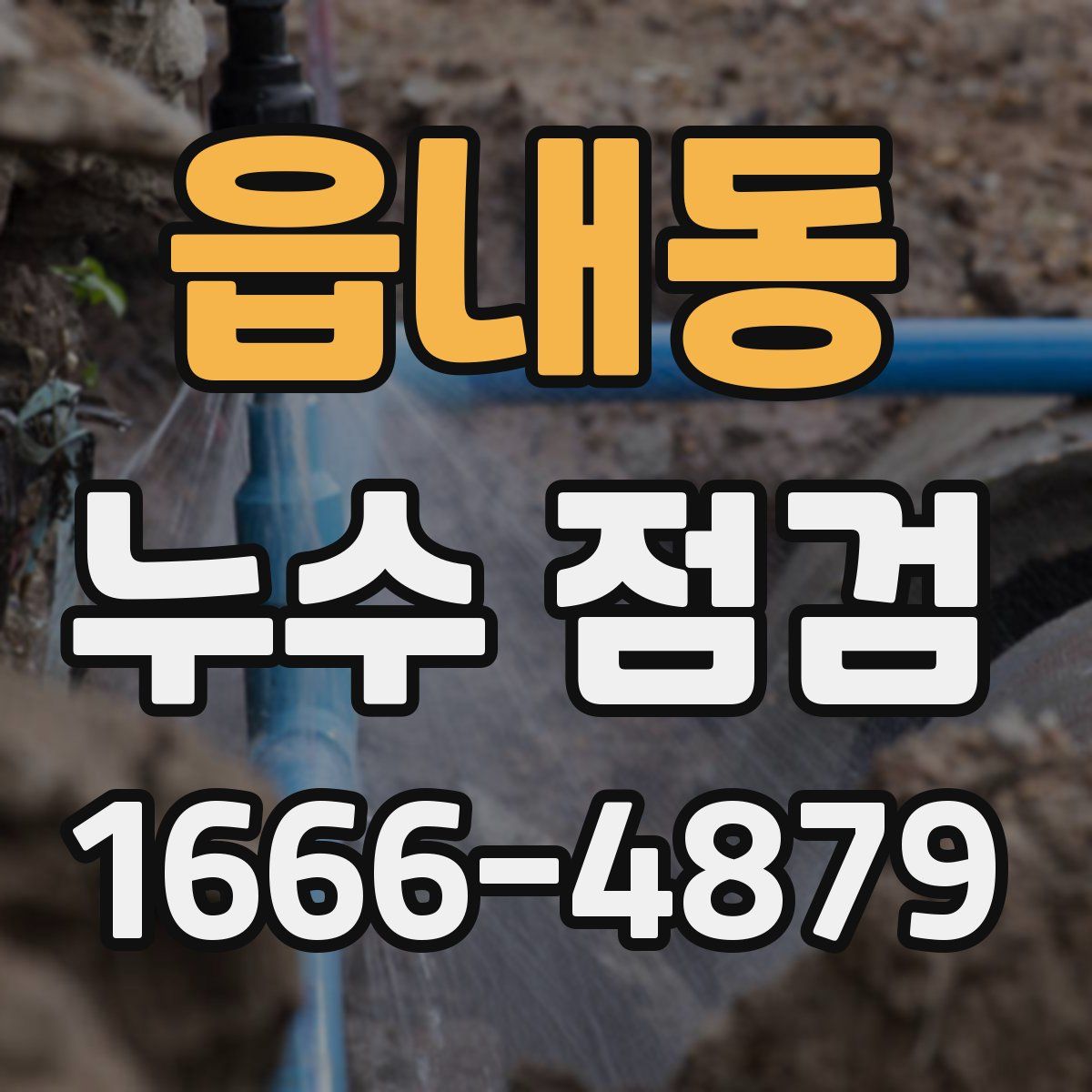 읍내동 누수 점검