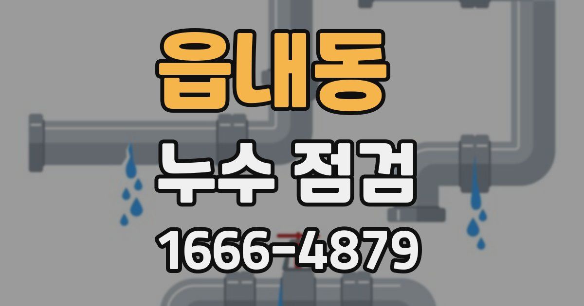 읍내동 누수 점검