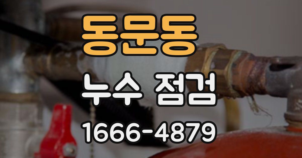 동문동 누수 점검