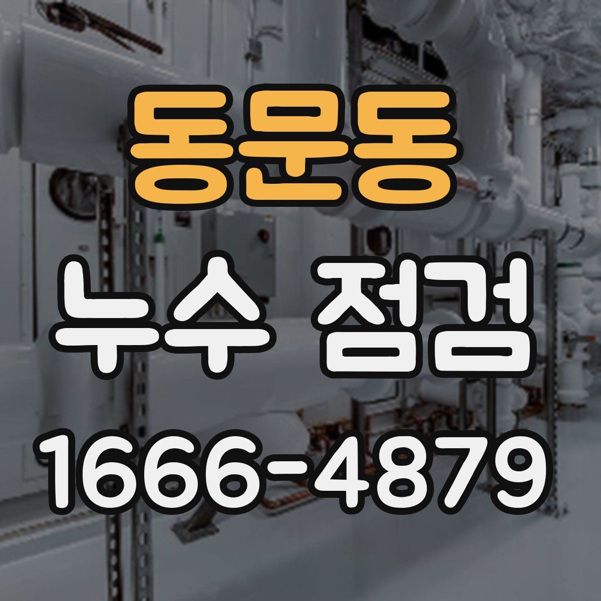 동문동 누수 점검