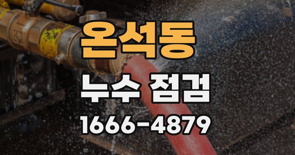 온석동 누수 점검