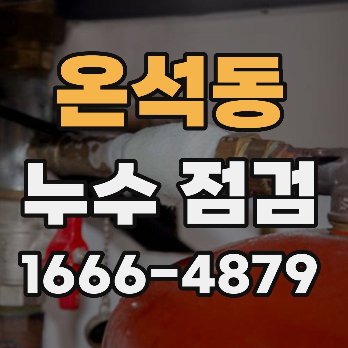 온석동 누수 점검
