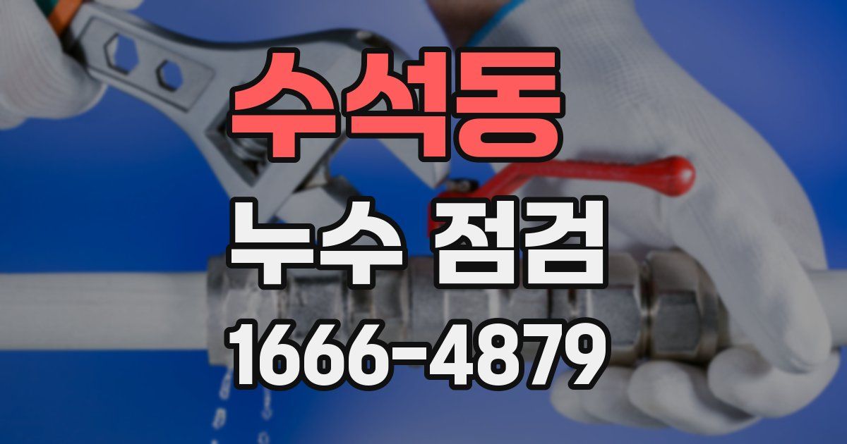 수석동 누수 점검