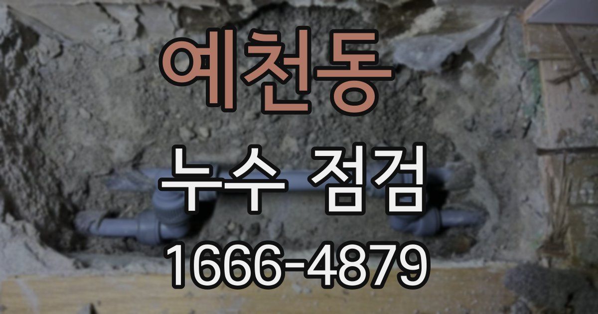 예천동 누수 점검