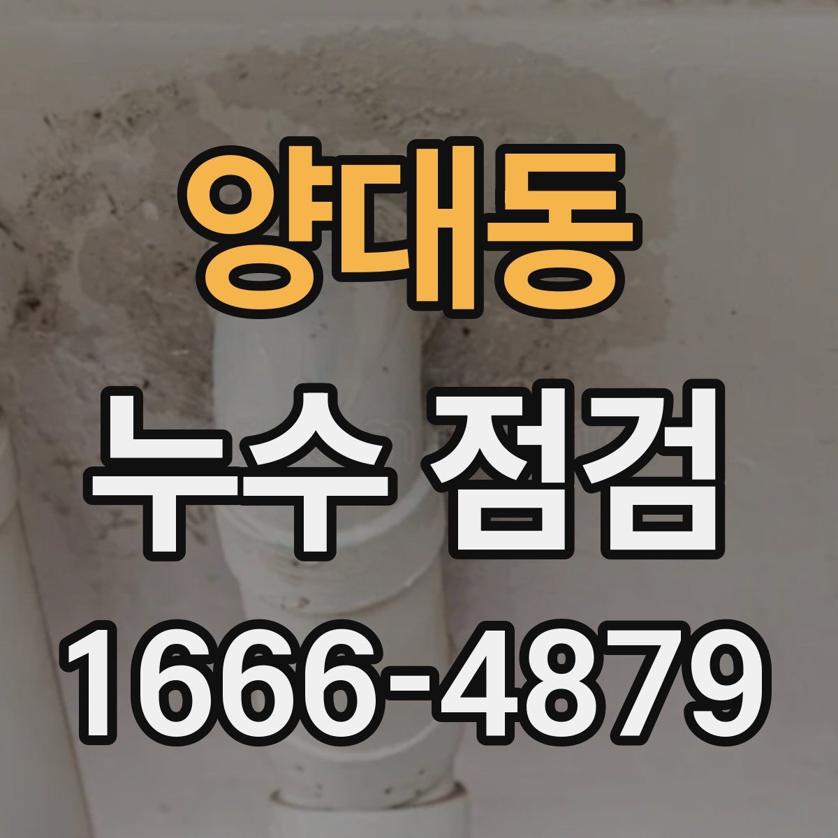 양대동 누수 점검