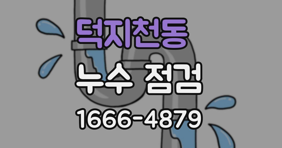 덕지천동 누수 점검