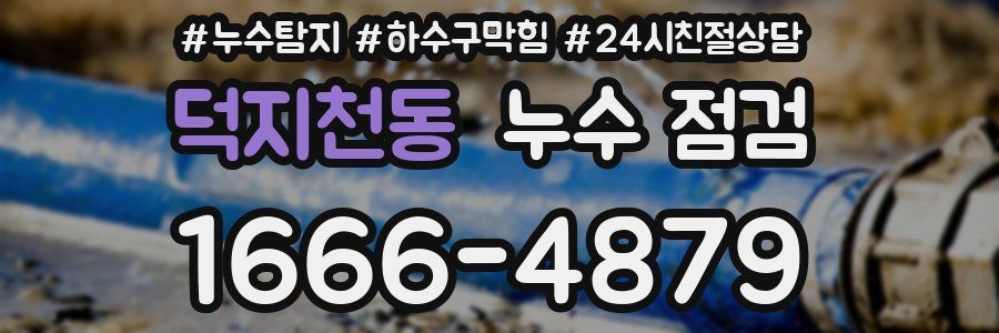 덕지천동 누수 점검