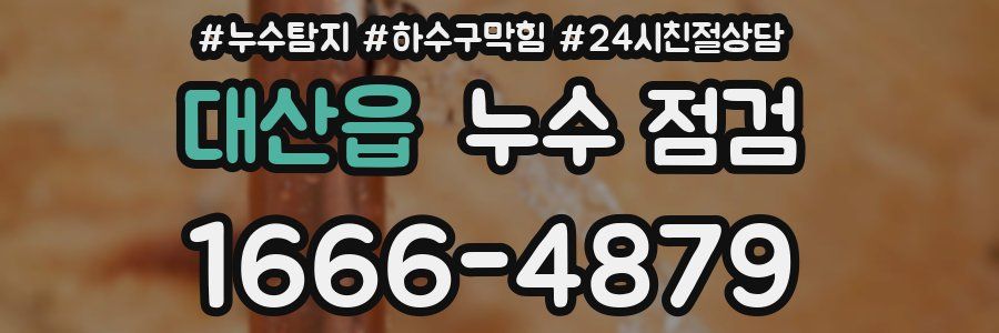 대산읍 누수 점검