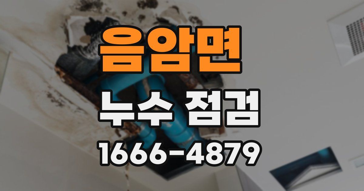 음암면 누수 점검