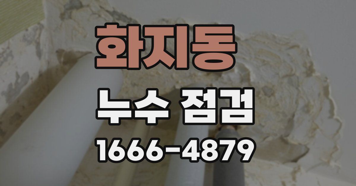 화지동 누수 점검