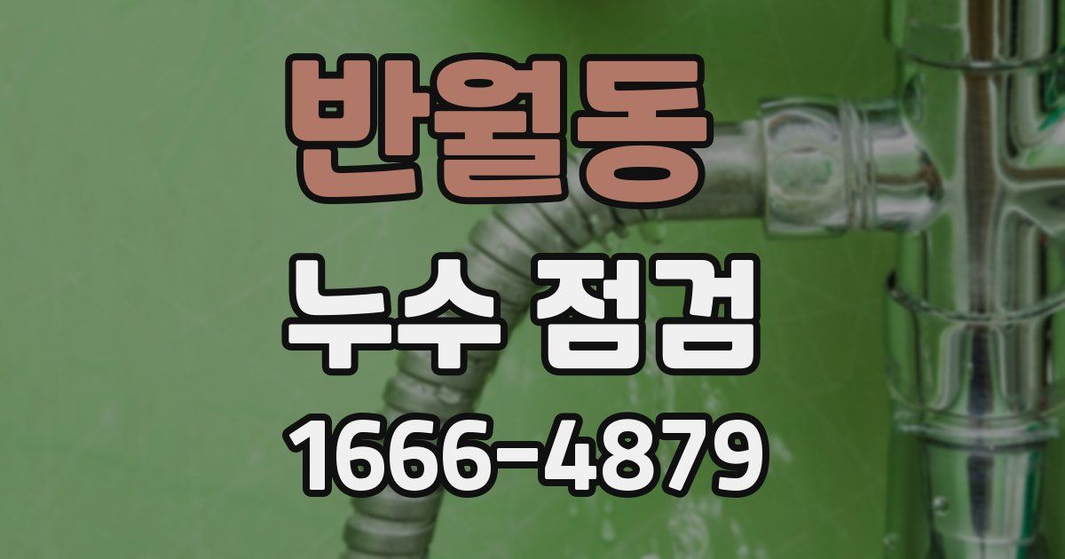 반월동 누수 점검