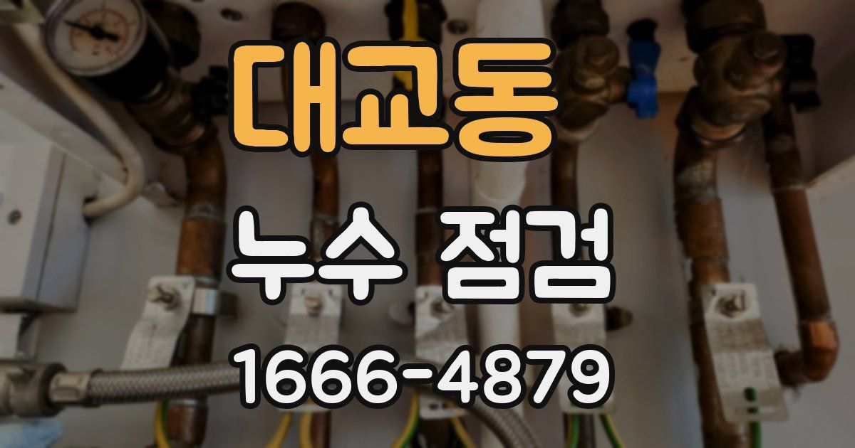 대교동 누수 점검