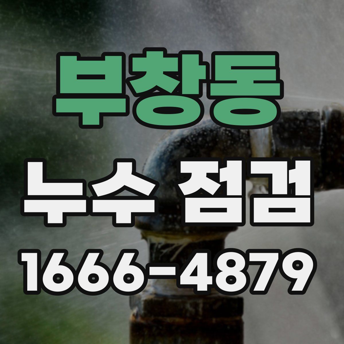 부창동 누수 점검