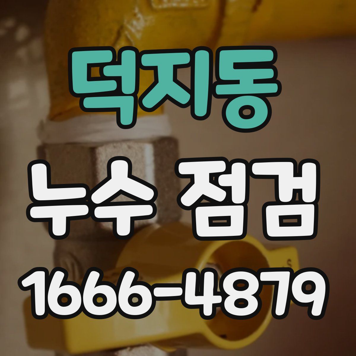 덕지동 누수 점검