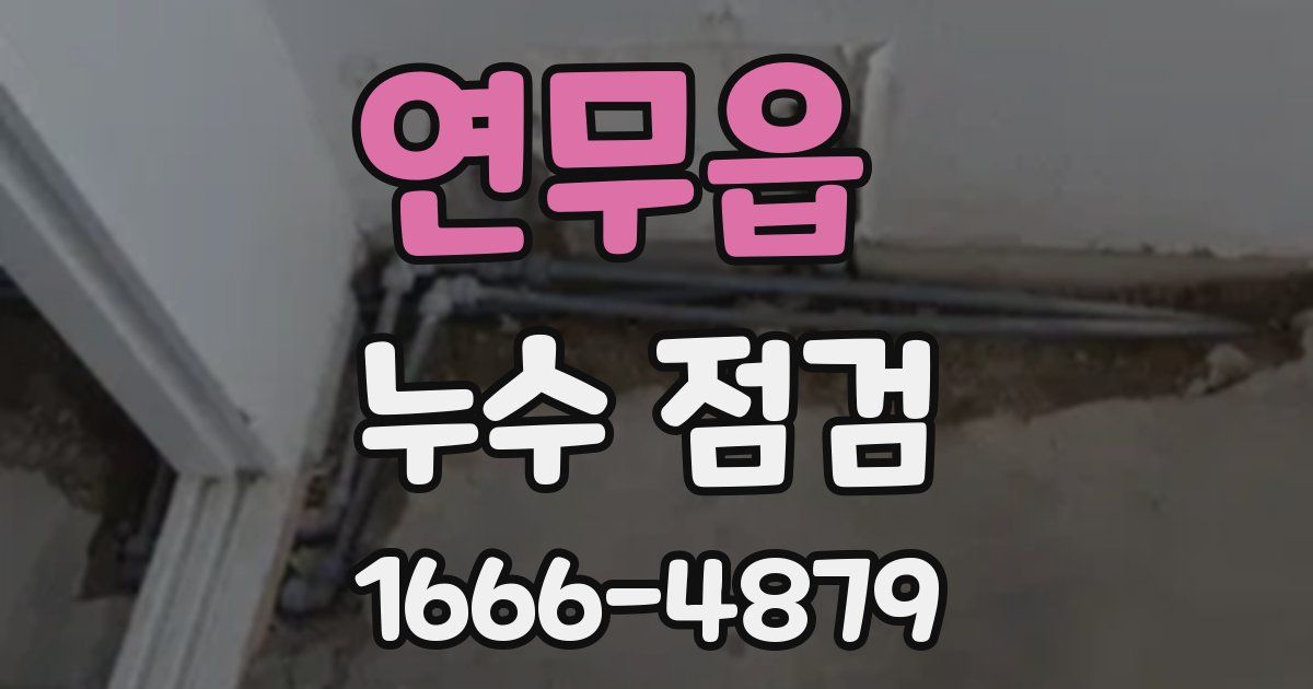 연무읍 누수 점검