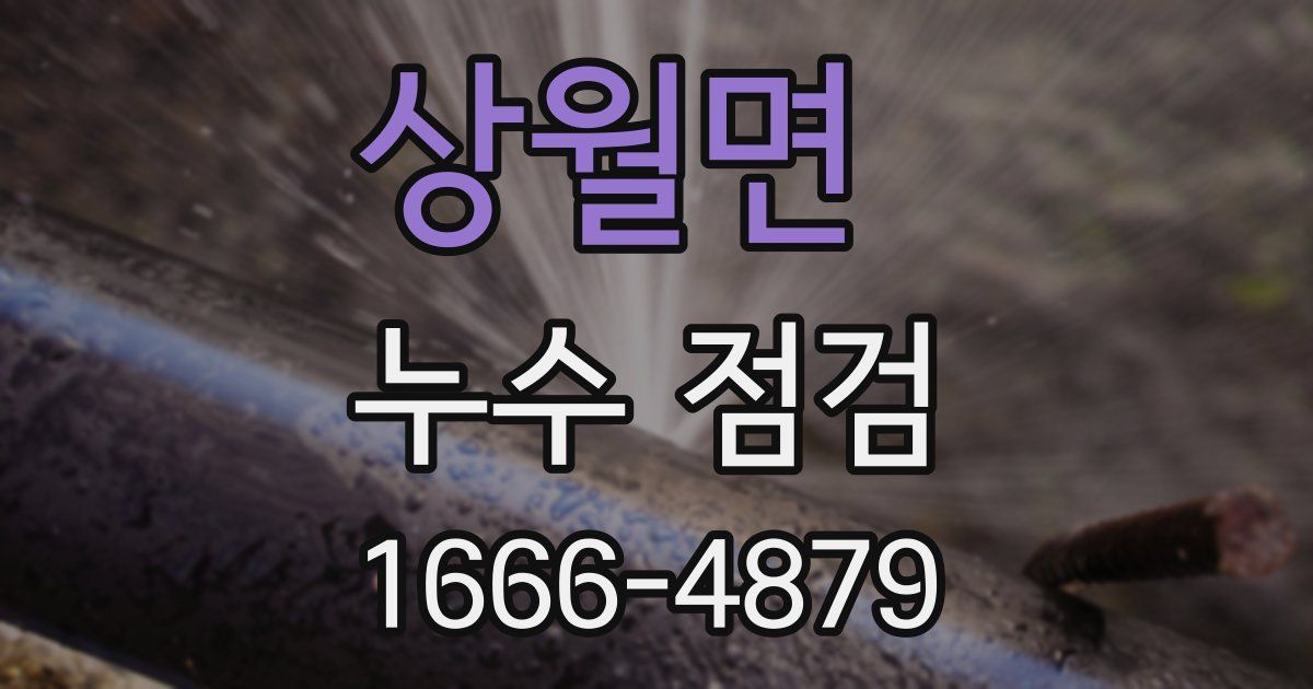 상월면 누수 점검