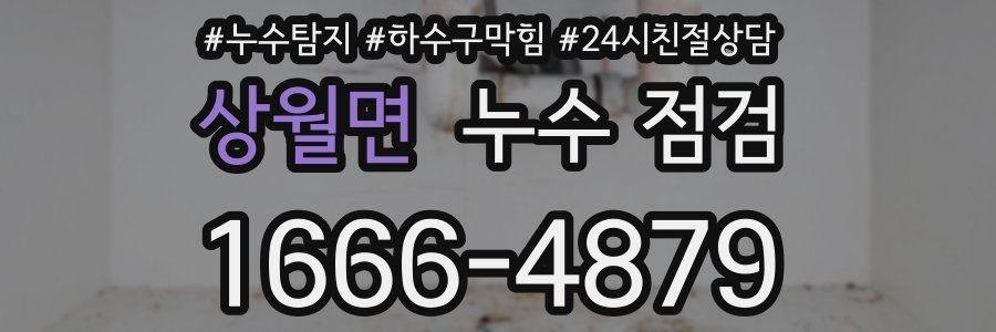 상월면 누수 점검