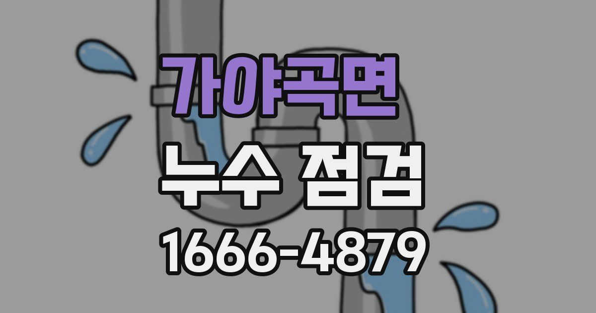 가야곡면 누수 점검