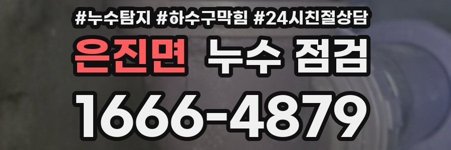 은진면 누수 점검